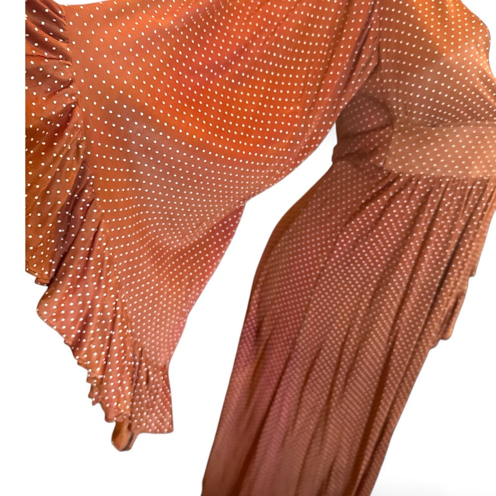 Unique Vintage 1970s Rust Polka Dot Long Sleeve Dress - Picture 5 of 6